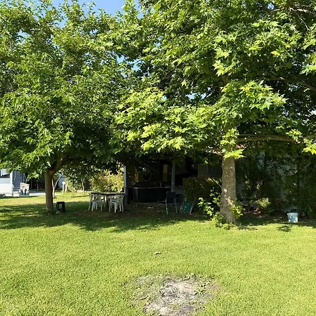 Apartmán Avs *